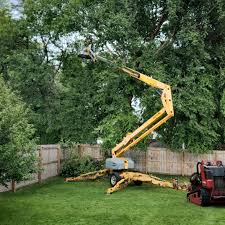 Best Lawn Grading and Leveling  in Maryland City, MD
