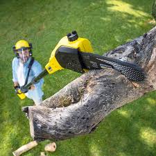Best Lawn Drainage Solutions  in Maryland City, MD
