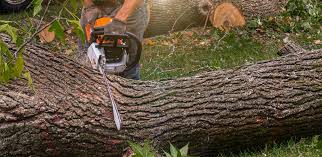 Best Artificial Turf Installation  in Maryland City, MD