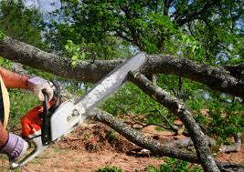 Best Soil Testing and Treatment  in Maryland City, MD