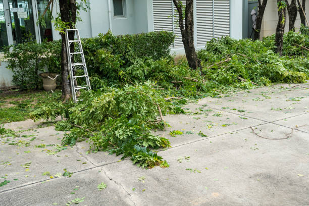 Best Seasonal Cleanup (Spring/Fall)  in Maryland City, MD